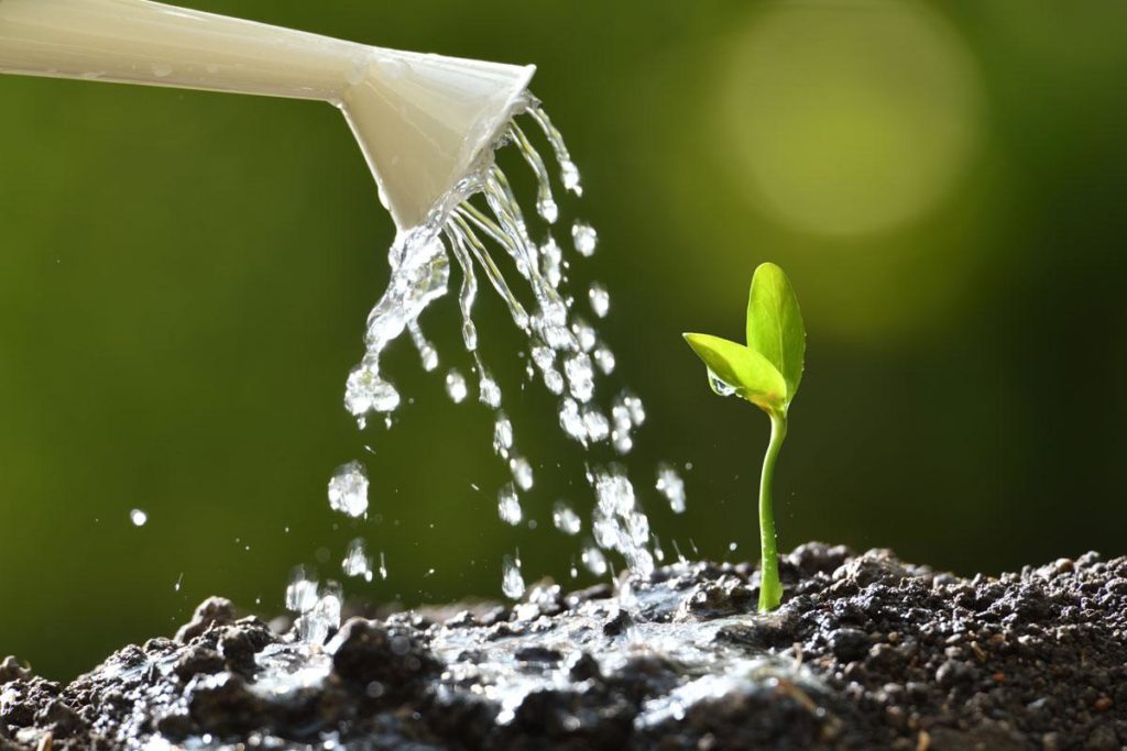 Retention Marketing